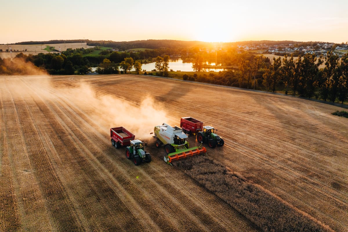 Sklizeň z dronu při západu slunce